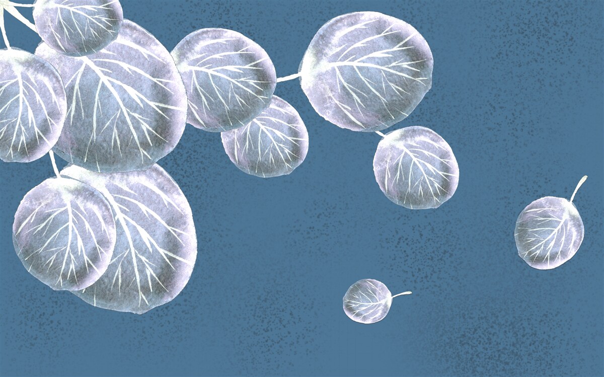 Фотошпалери листя, що падає в небо