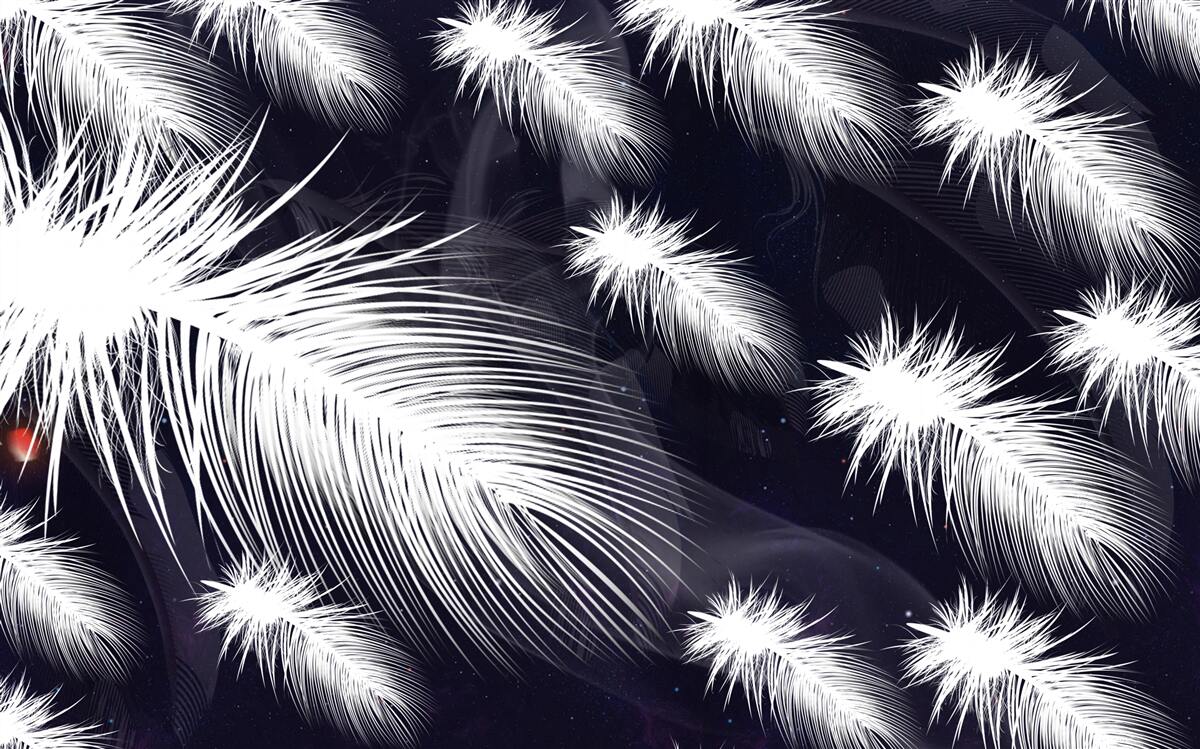 Фотошпалери пір'я біле, м'яке та пухнасте