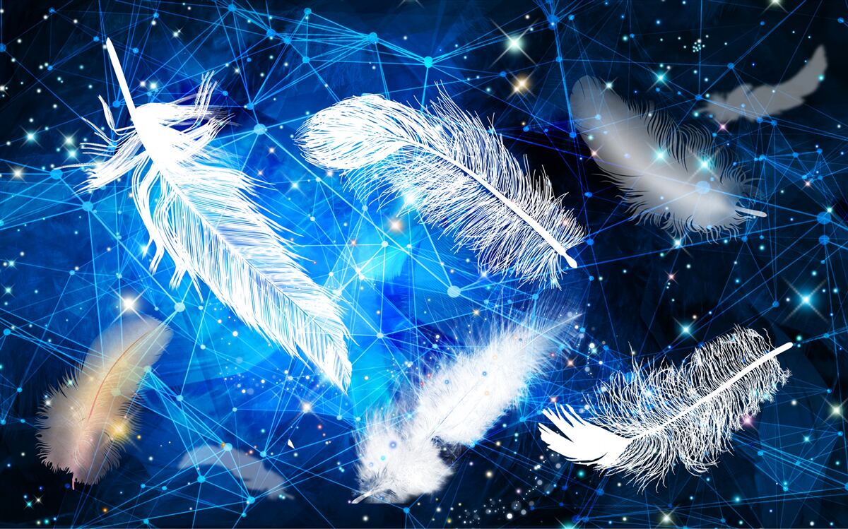 Фотошпалери зоряне небо як тло для білого пір'я